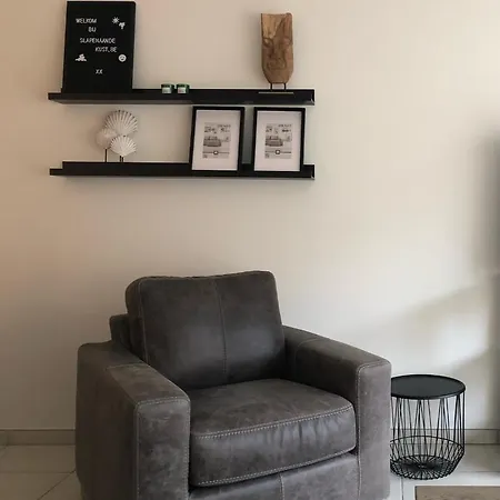 Volledig Gerenoveerd 2 Slaapkamer In Westende-bad, 250 M Het Westende-Bad