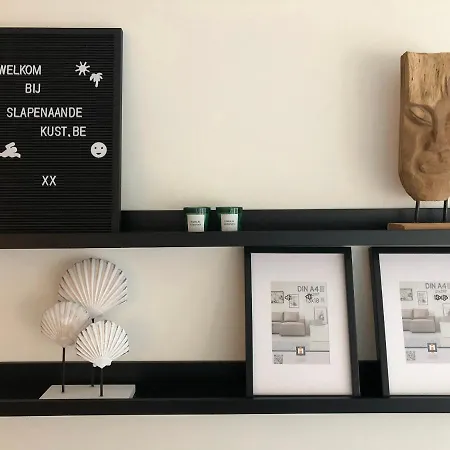 Volledig Gerenoveerd 2 Slaapkamer In Westende-bad, 250 M Het