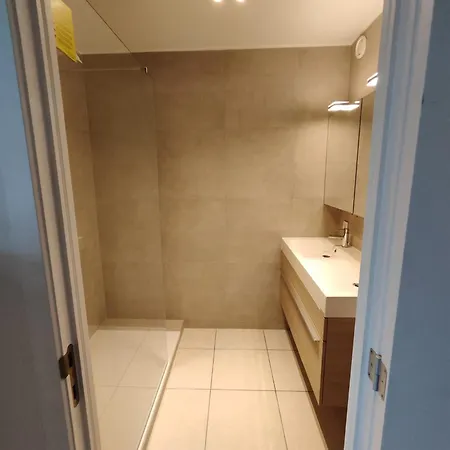 아파트 Volledig Gerenoveerd 2 Slaapkamer In Westende-bad, 250 M Het