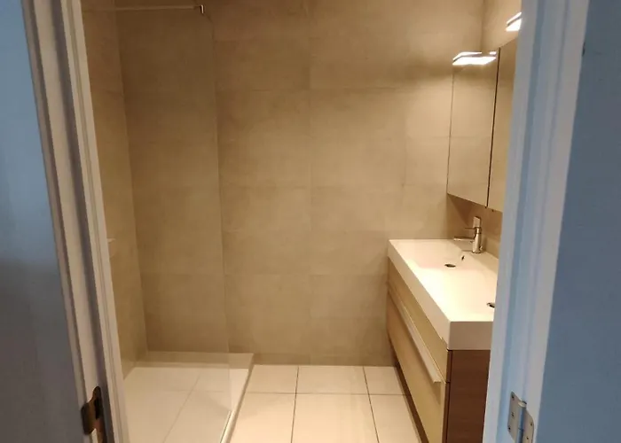 Apartment Volledig Gerenoveerd 2 Slaapkamer In Westende-bad, 250 M Het